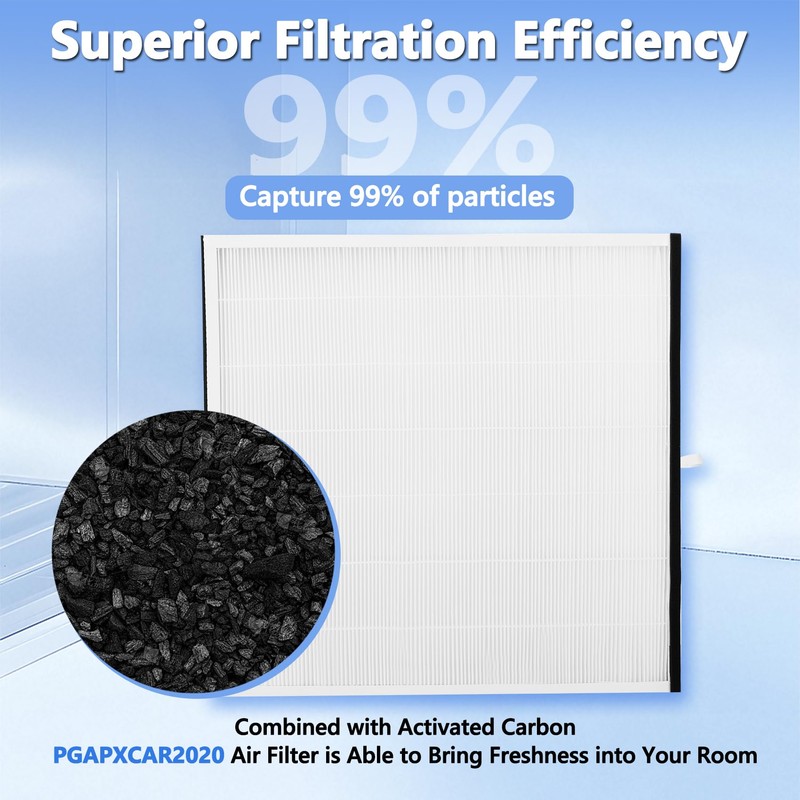 PGAPXCAR2020 Air Filter Replacement, Pack of 1 PGAPXCAR2020 Filter Replacement