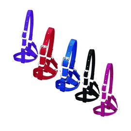 Weaver Leather unisex adult Livestock Nylon Alpaca Halter Baby Black, Black, Small US