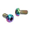 12pcs RISK Bicycle Disc Brake Rotor Bolts M5x10mm T25 Titanium