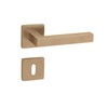 Gedotec Door Handle Brushed Brass | 1 Set | Rosette