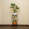 FaithLand 2 Pack Metal Plant Stands, Tall Planter Holder Indoor
