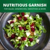 Pickerfresh Pickled Beets - Crinkle Cut Sliced Beetroot - Simple