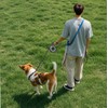 Retractable Dog Leash Strong Nylon Tape 16Ft Reflective Stitch for