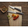 Hampton Forge Tomodachi HMC01B612L Raintree Ash – 13 Piece Knife