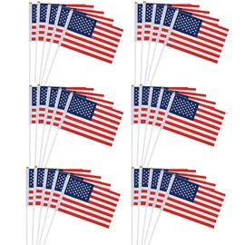 Pack of 30 Small United States of America Flag Mini USA Fan America Hand Held for Wedding Party Parade Celebrations Sports Nursery School Indoor Outdoor Decoration 21 x 14 cm