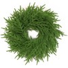 24" Norfolk Pine Christmas Wreath with Thick Pine Branch Tips,
