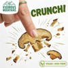VIGOROUS MOUNTAINS Shiitake Mushroom Snack Chips 6oz Wasabi Flavored