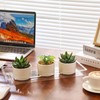 SiliFine 20 Pcs Clear Plastic Plant Saucer Rectangular Plant Drip