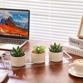 SiliFine 20 Pcs Clear Plastic Plant Saucer Rectangular Plant Drip Trays Transparent Thick Heavy Duty Plastic Liners for Planters for Indoors Outdoors Flower Pots Window Sills Window Shelf, 14" x 6"