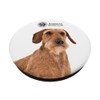 AKC Wirehaired Dachshund Photo PopSocket