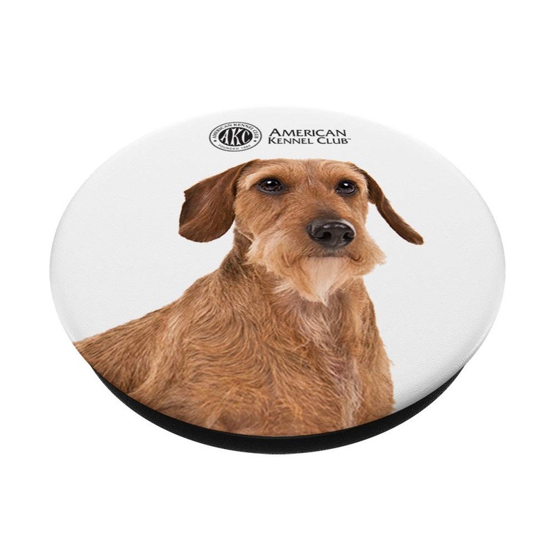AKC Wirehaired Dachshund Photo PopSocket
