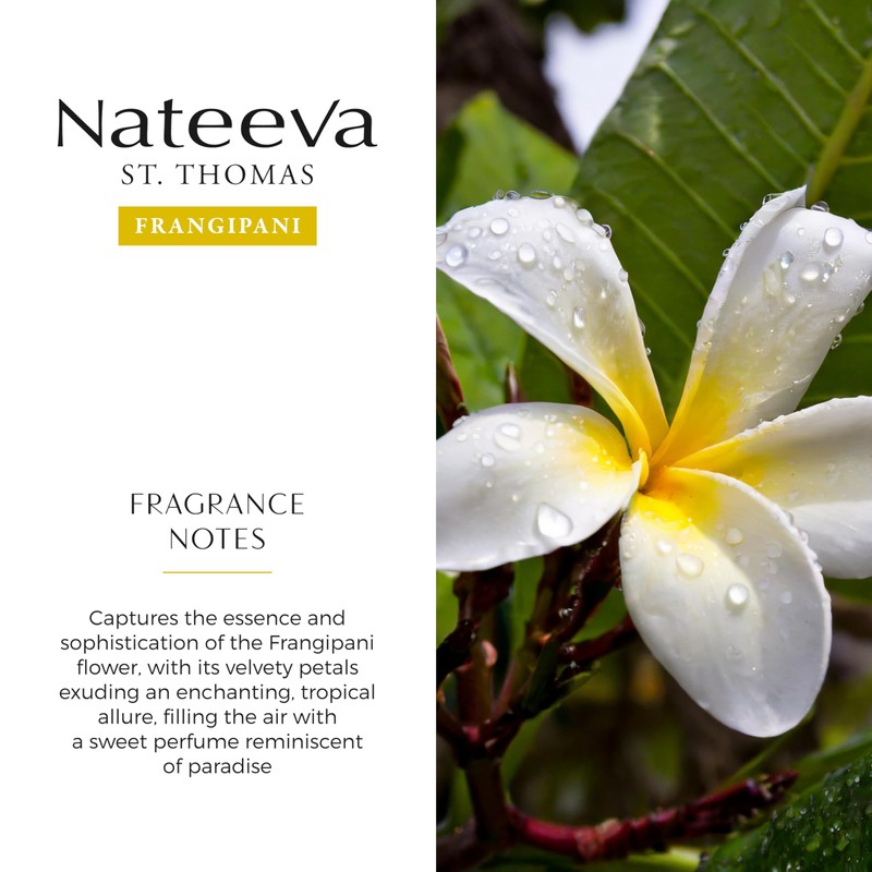 Nateeva St. Thomas Frangipani Flower EDP Perfume Spray - 100