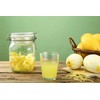 12 Limoncello Labels for Homemade Extracting Lemon Liqueur - Great