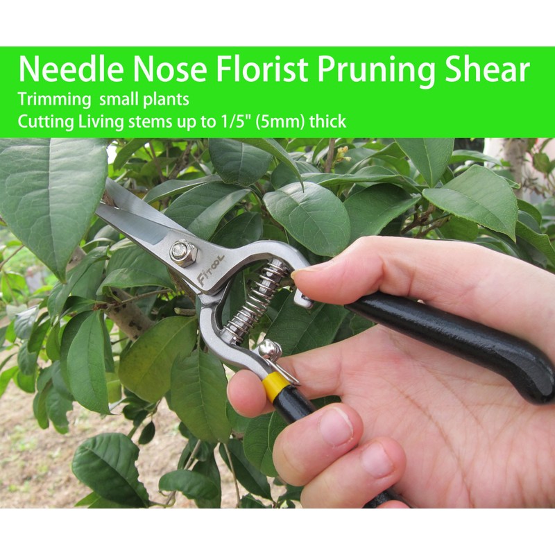 Forged Needle Nose Precision Clippers, Grape Vegetables Flowers Pruning Shear,