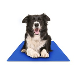 Hugs Pet Products Hugs Pet Products Chillz Gel Mat, Large - Pressure-Activated Cooling Pad for Pets - Non-Toxic, No Water or Refrigeration Needed - Ideal for Home, Travel & Crates