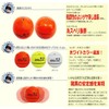 南ウキ 競技スペシャル/磯釣り名人「南康史」監修のチヌ（黒鯛）・グレ フカセ釣り用円錐ウキ (イエロー, B)