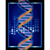 CafePress Computer Artwork of Some DNA W Sticker Sticker (Oval