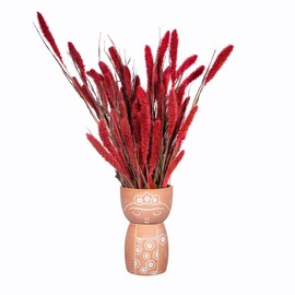 Sass & Belle Frida Terracotta Vase