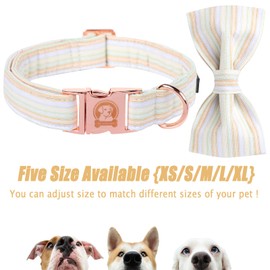 MR.CHUBBYFACE Orange Dog Collar with Bowtie, Cute Fall Pet Collar for Girl Boy Female Dogs, Adjustable Cotton Puppy Collar with Metal Buckle for X-Small Dogs