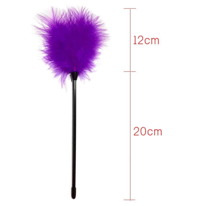 Dzrige Interactive Cat Toys Teaser Wand Black Long Sticks with