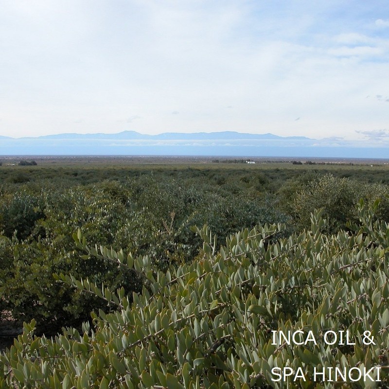 spa hinoki Organic Jojoba Oil