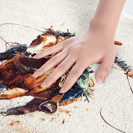 Homemissing Boys Girls Wild Western Cowboy Bath Mats Horse Bathroom Rugs Kids West Bath Rugs for Shower Tub Rodeo Cowboy Style Teens Bathroom Accossories Bedroom Decor 16x24Inch