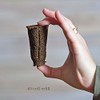 Park Seed 80 Pack Refill Sponges for The 40-Cell Planting