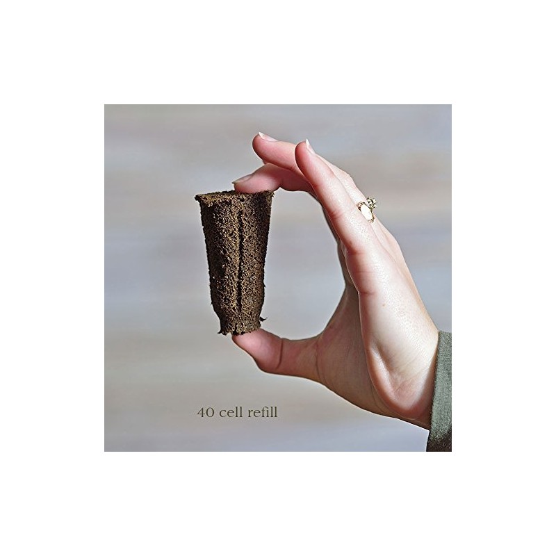 Park Seed 80 Pack Refill Sponges for The 40-Cell Planting