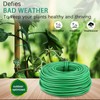 YDSL 100 Feet Soft Tie for Plants, Green Twist Garden