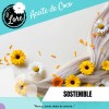 Aceite De Coco 100 Natural D Lore Facial 18 100ml