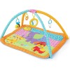 Bruin My 1st Playgym Animals Colorful