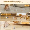 ORSDA Cat Toys, Interactive Cat Toy Ball for Indoor Cats,