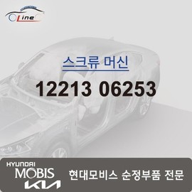 Hyundai Mobis Machine Screw 12213 06253 / 머신 스크류 12213 06253