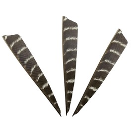 XXRRP ARCHERY 50pcs 4” Shield Cut Archery Fletches Arrow Feathers Turkey Feather Right Wing Vanes for DIY Hunting Arrows Accessories (Natural Feathers)