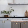 Goo-Ki Cabinet Knobs with Base Plate/Backplate Zinc Alloy Hardware for