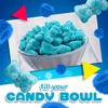 Sour Gummy Bears Candy (1 Pound Bag) Blue Raspberry Flavor,