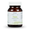 BioProphyl® Choline - 250 mg Choline from VitaCholine® - 120