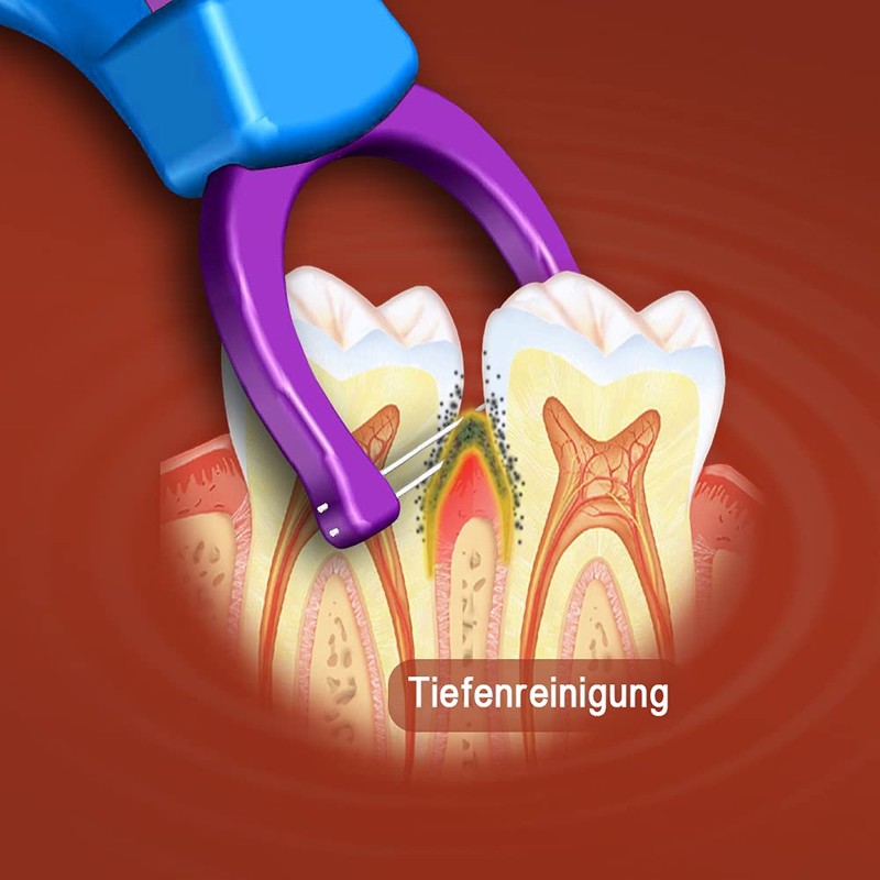 TEEsmile Evolutionary Clean Zahnseidenhalter，Aufsteckköpfe - Halter - Set (2 langer