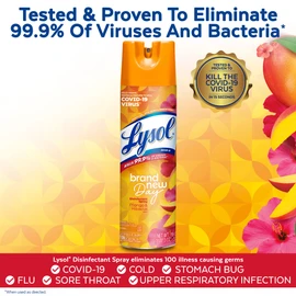Lysol Disinfectant Spray, Sanitizing and Antibacterial Spray, For Disinfecting and Deodorizing, Mango & Hibiscus Scent, 19 Fl Oz