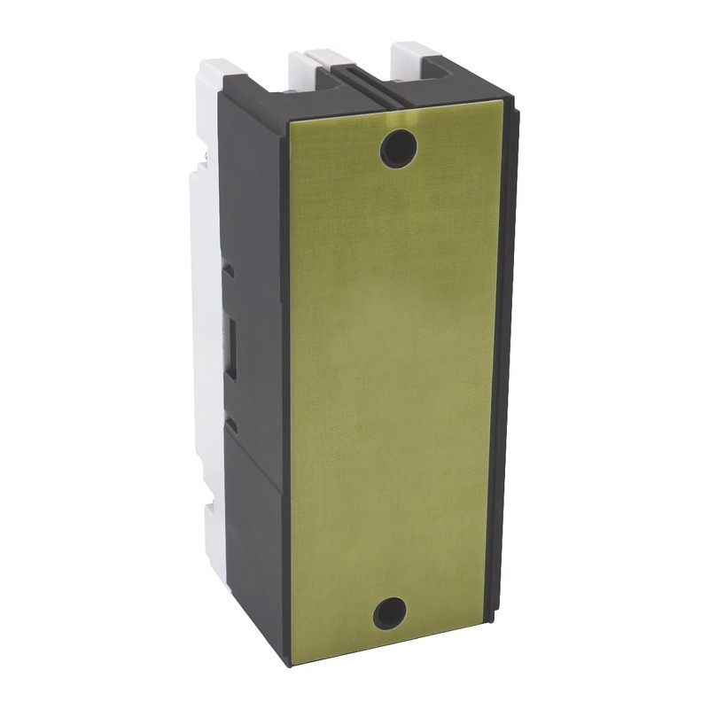 Baomain 100A DC Circuit Breaker 2 Pole 550V, Moulded Case