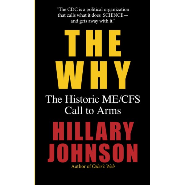 The Why: The Historic ME/CFS Call To Arms