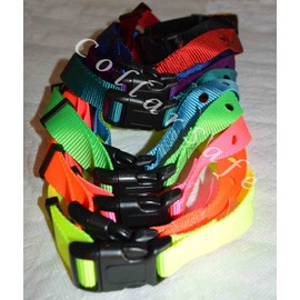 CollarSafe 1" Wide Nylon Replacement Collar w/Heavy Duty Buckle - FITS Most 2-Hole Receiver Modules 1-3/16" Apart - Read Listing - View Photos