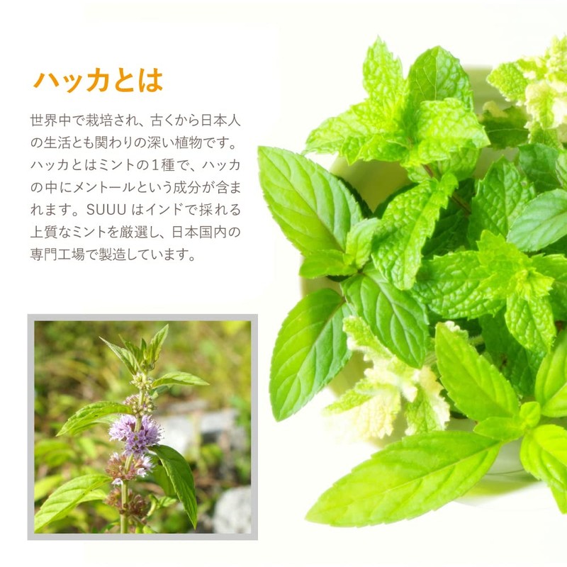 Japanese Peppermint Oil, 6.8 fl oz (200 ml) with Dropper