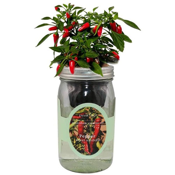 Environet Hydroponic Pepper Growing Kit, Self-Watering Mason Jar Vegetable Starter