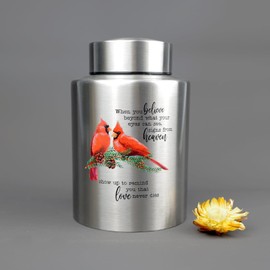 AODIYA 60 lbs Small Cremation Urn for Adult Human Ashes, Decorative Memorial Mini Keepsake Urn for Male Female Men Women Child Couple Remains(Cardinal)