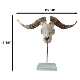 Ebros Gift 23.75" Long Rustic Western Realistic Vintage Valais Blackneck Billy Goat Skull Resin Sculpture On Museum Pole Stand with Glass Base Faux Taxidermy Decor