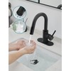 Black Bathroom Sink Faucet with Pull Out Sprayer for Sink
