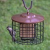 More Birds Bird Feeder- Double Cage