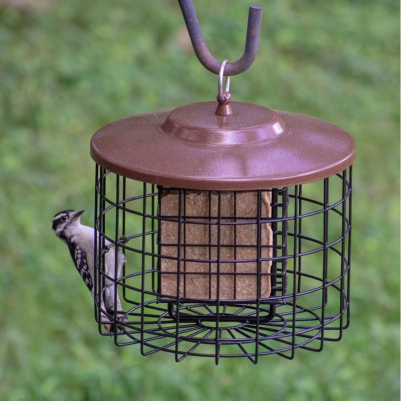 More Birds Bird Feeder- Double Cage