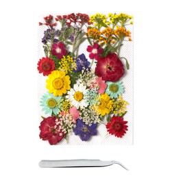 Cayway 40 Pcs Real Pressed Flowers Dry with Tweezers Set, Dried Pressed Flowers Colorful Real Pressed Flowers for Resin Scrapbooking DIY Art Crafts, Epoxy Resin Jewelry, Soap Making